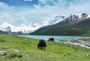 走近萨普雪山 探寻高原秘境