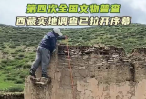 高原各地开展实地调查