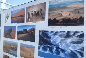 走进中国野生动物摄影大展 探秘生命的奇迹