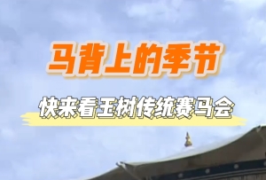 马背上的季节 快来看玉树传统赛马会