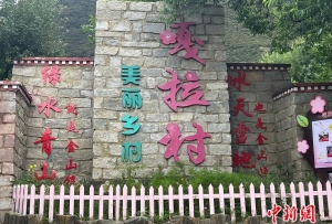 【我们的家园】西藏“桃花第一村”:民族团结之花持续绽放