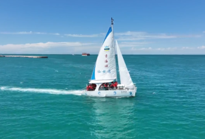 色彩绘风景丨碧波荡漾的青海湖鱼翔浅底 水清岸绿