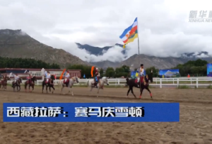 西藏拉萨：赛马庆雪顿