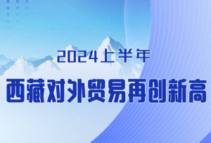 图解｜上半年西藏对外贸易再创新高