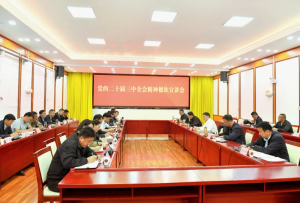 罗朝峰到维西县、德钦县调研时强调 要深入学习贯彻党的二十届三中全会精神 切实提升基层社会治理效能确保社会和谐稳定