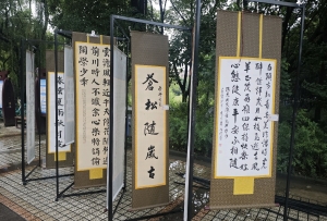 昌都离退休干部职工庆祝新中国成立75周年书法展在蓉举办