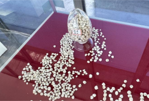 第七个中国农民丰收节，听听这些高原农产品怎么说？（一）