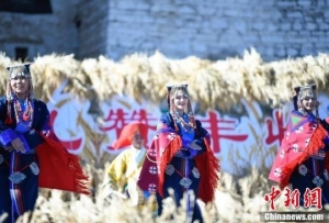 西藏欢庆丰收节