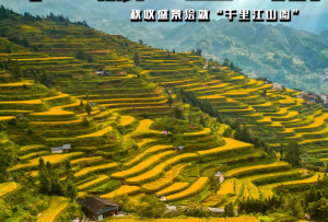 秋收盛景绘就“千里江山图”