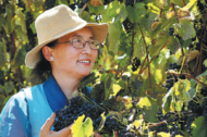 Winemaking Tibetan couple cultivates dream