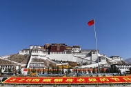 Tibet to maintain prolonged stability, high-quality development: official