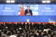 Global Security Initiative offers China's solutions, wisdom