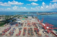 China's ports see steady throughput growth in July