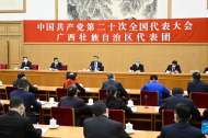 Xi Jinping attends group discussion with delegates from Guangxi to 20th CPC National Congress