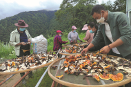 Congress report inspires people in rural Tibet