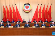China's political advisors discuss study of key Party congress