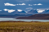 Young faces emerge in ecological conservation quest on Qinghai-Tibet Plateau