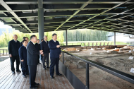 Xi inspects Jingdezhen, Shangrao in east China's Jiangxi Province