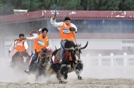 Tibetans flock to ethnic games event