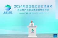 Chinese vice premier urges coordinated efforts in pursuing green, low-carbon development