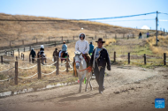Tourists experience horseback riding at Tagong Grassland in China's Sichuan