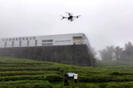 Drones lend a hand in tea harvesting in SW China's Xizang