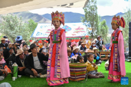 Tibetan opera promoted in Namling County, China's Xizang