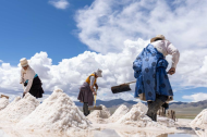 Employment growth and protection of people's labor rights in Xizang