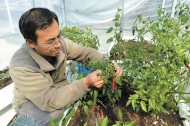 Professor helps high-altitude communities grow fresh vegetables year-round