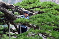 NPC deputies, CPPCC members highlight green as defining feature of a Beautiful China