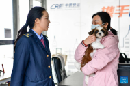 High-speed railway pet consignment ready for May Day rush