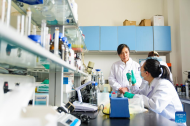 Food microbial technology researcher awarded May Day national labor medal