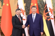 Xi meets Brunei's crown prince, calling for deepening practical cooperation