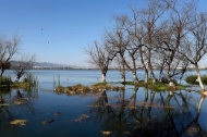 Forum on promoting global ecological civilization held in southwest China