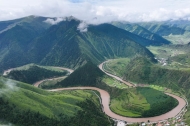 Scientists observe plants' reproductive adaptations amid droughts on Qinghai-Tibet Plateau