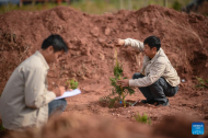 Research team makes efforts to conserve endangered species in China's Xizang
