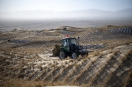 AI empowers China's sandstorm forecasting with speed and precision