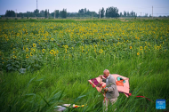 Gucheng County in China's Hebei boosts development along Grand Canal