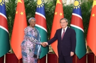 Chinese premier meets Namibian president in Beijing