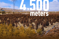 International Day of Forests | Green footprint against all odds on Xizang plateau