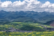 From barren plateau to thriving farmland: tech-driven agriculture transforms farmers' lives