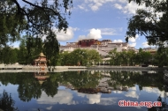 ​Xizang: Treasure trove of natural beauty, biodiversity