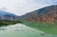 Xinhua Headlines: Chinese plateau salmon expands into global markets