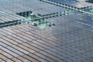 China targets 50-pct non-fossil power generation by 2030
