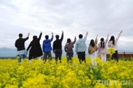 Hong Kong Students Visit Rapeseed Flower Fields in Menyuan, Qinghai