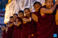 Traditional Shoton Festival celebrated in Lhasa, China's Xizang