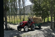 Xizang barley farmers take advantage of new technology
