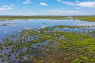 EcoChina | Ecological restoration achievements in SW China's Zoige Wetland