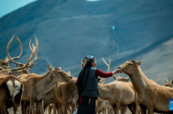 Xizang Story: Legacy of love -- A family's 55-year dedication to red deer reserve in Xizang