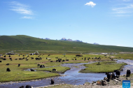 Scenery of Nianbaoyuze national geology park in China's Qinghai